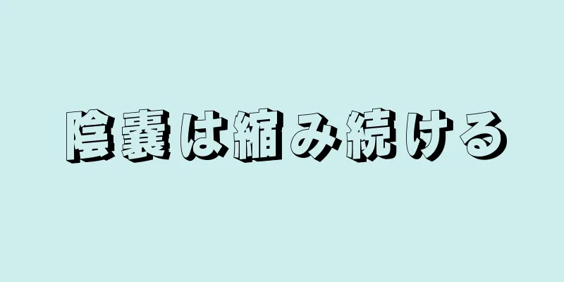 陰嚢は縮み続ける