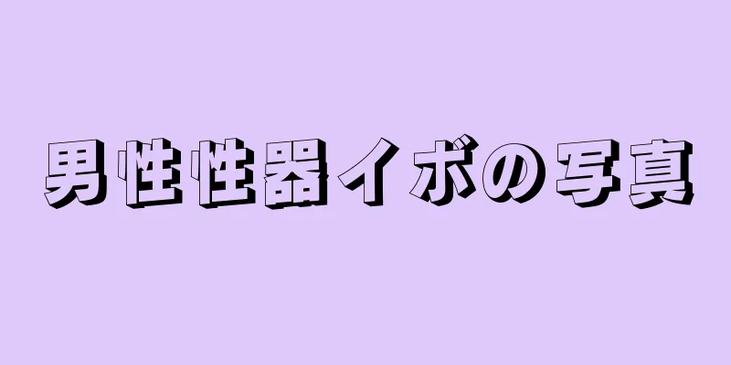 男性性器イボの写真