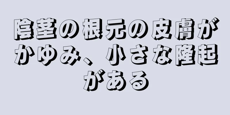 陰茎の根元の皮膚がかゆみ、小さな隆起がある