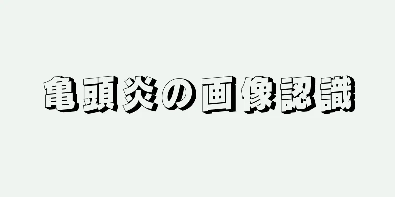 亀頭炎の画像認識