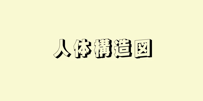 人体構造図