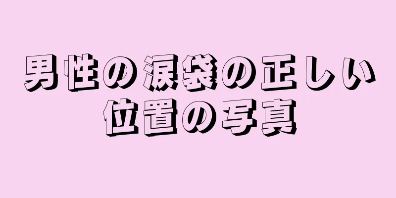 男性の涙袋の正しい位置の写真