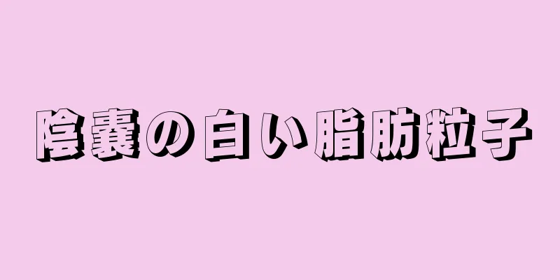 陰嚢の白い脂肪粒子