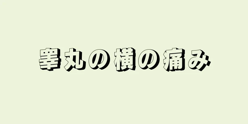 睾丸の横の痛み