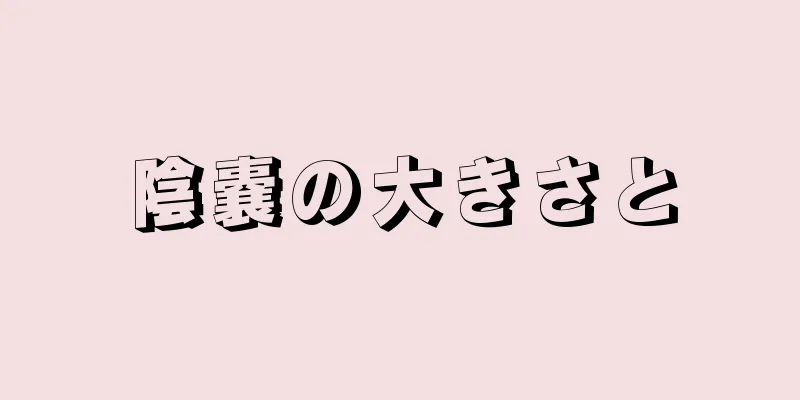 陰嚢の大きさと