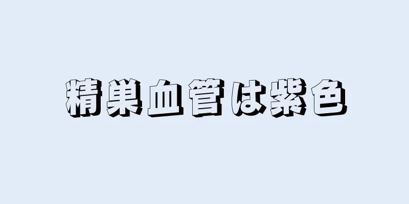 精巣血管は紫色