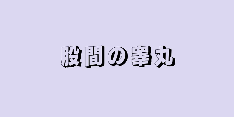 股間の睾丸