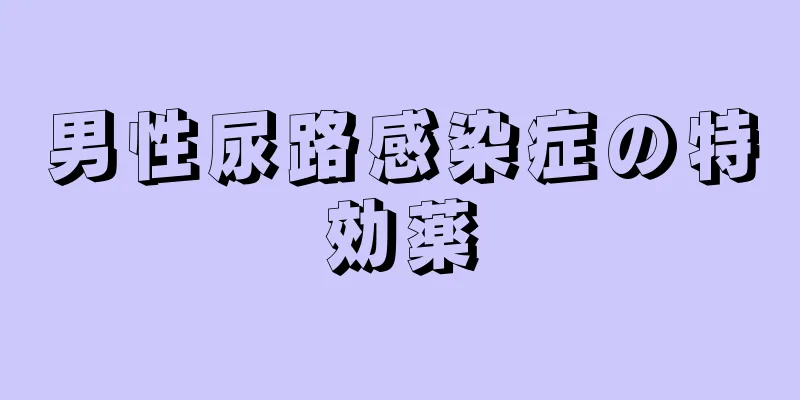 男性尿路感染症の特効薬