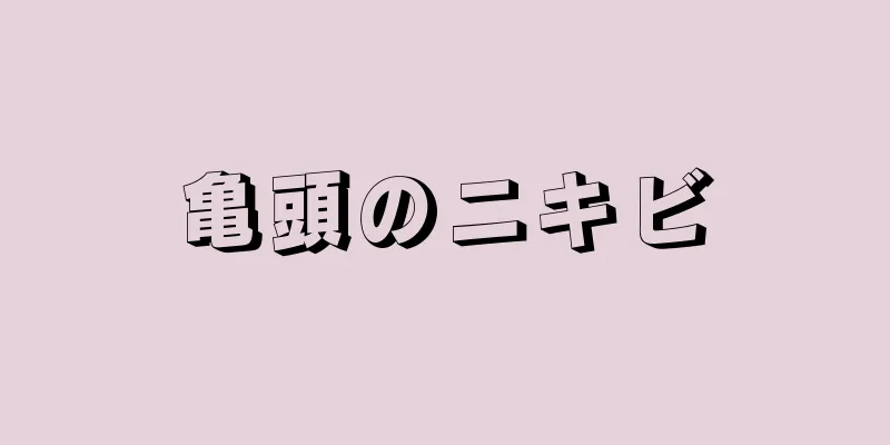 亀頭のニキビ