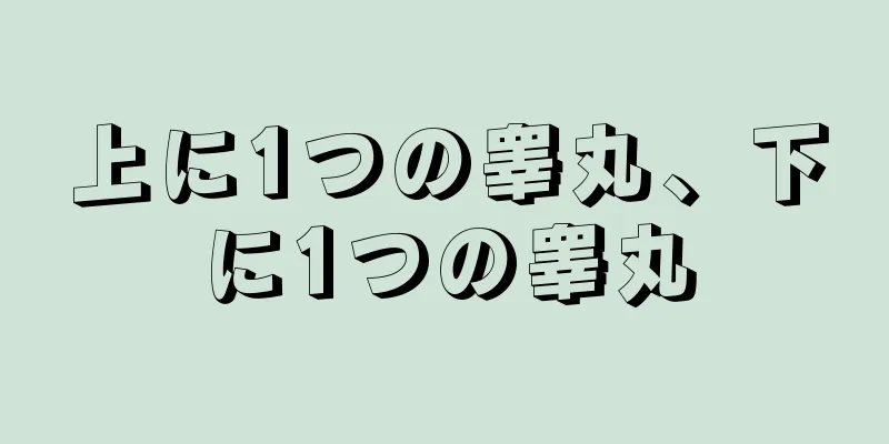 上に1つの睾丸、下に1つの睾丸