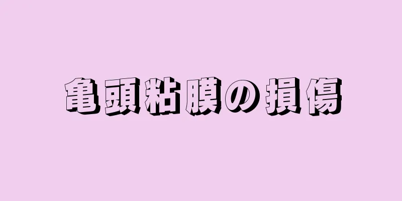 亀頭粘膜の損傷