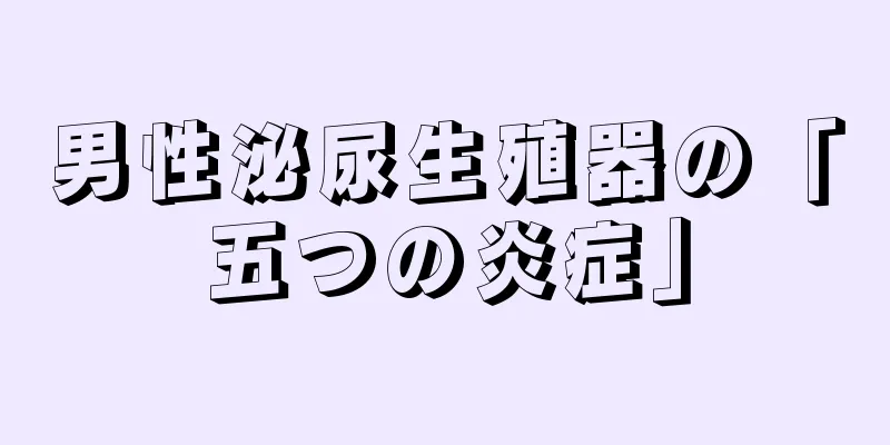 男性泌尿生殖器の「五つの炎症」
