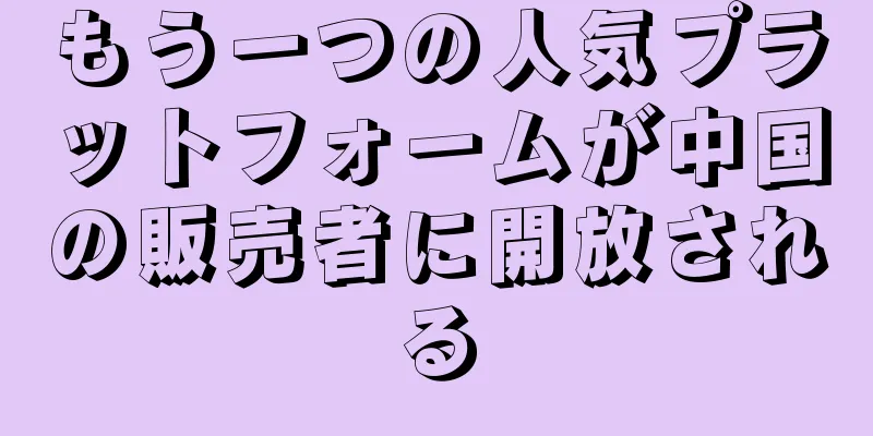 もう一つの人気プラットフォームが中国の販売者に開放される