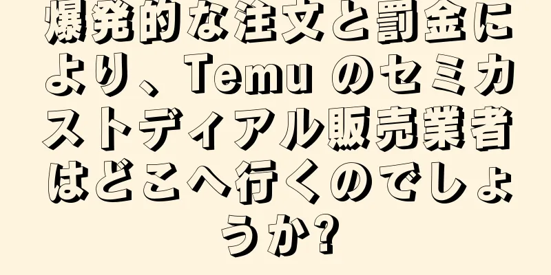 爆発的な注文と罰金により、Temu のセミカストディアル販売業者はどこへ行くのでしょうか?