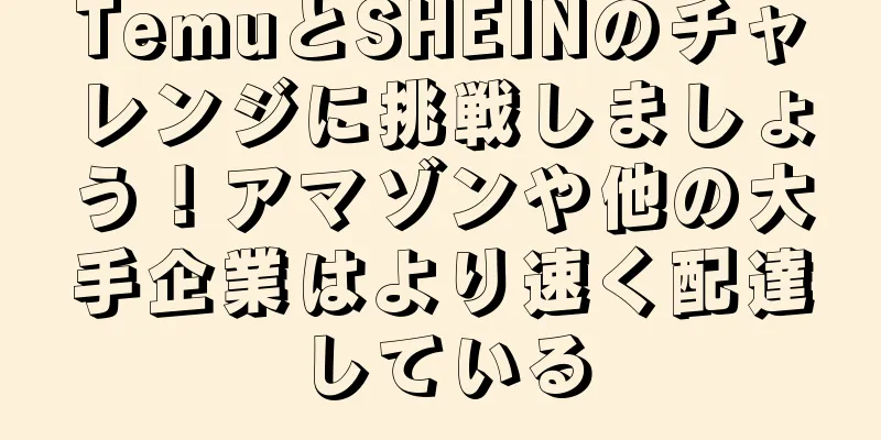 TemuとSHEINのチャレンジに挑戦しましょう！アマゾンや他の大手企業はより速く配達している
