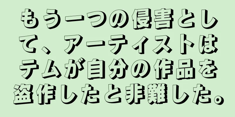 もう一つの侵害として、アーティストはテムが自分の作品を盗作したと非難した。