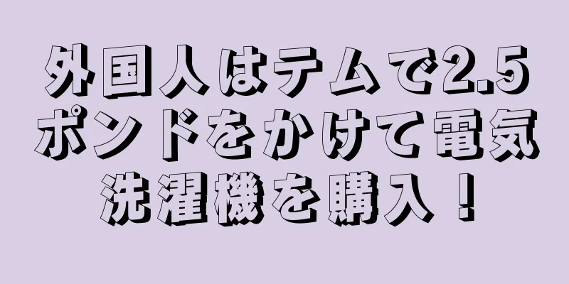 外国人はテムで2.5ポンドをかけて電気洗濯機を購入！