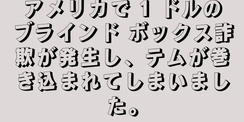 アメリカで 1 ドルのブラインド ボックス詐欺が発生し、テムが巻き込まれてしまいました。