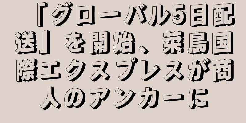 「グローバル5日配送」を開始、菜鳥国際エクスプレスが商人のアンカーに