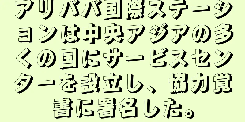 アリババ国際ステーションは中央アジアの多くの国にサービスセンターを設立し、協力覚書に署名した。