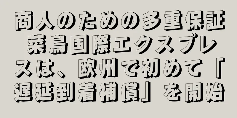 商人のための多重保証 菜鳥国際エクスプレスは、欧州で初めて「遅延到着補償」を開始