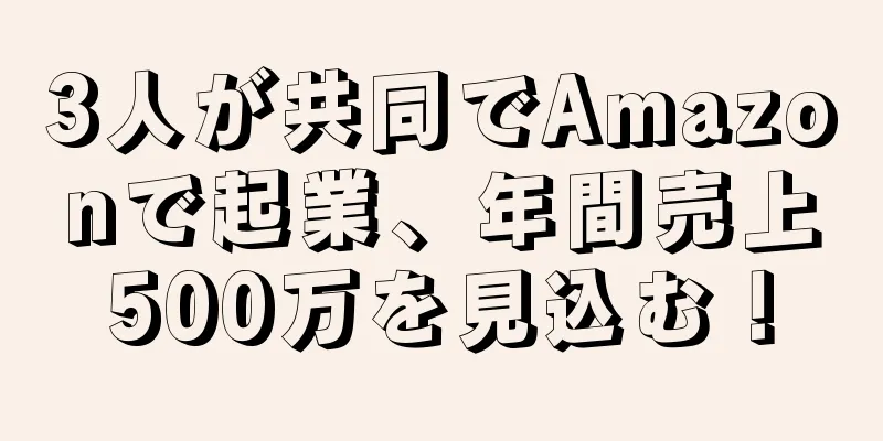 3人が共同でAmazonで起業、年間売上500万を見込む！