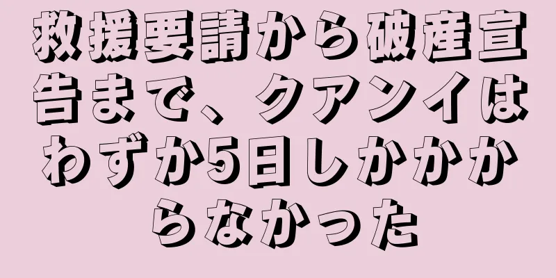 救援要請から破産宣告まで、クアンイはわずか5日しかかからなかった