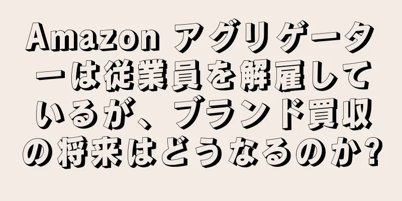 Amazon アグリゲーターは従業員を解雇しているが、ブランド買収の将来はどうなるのか?