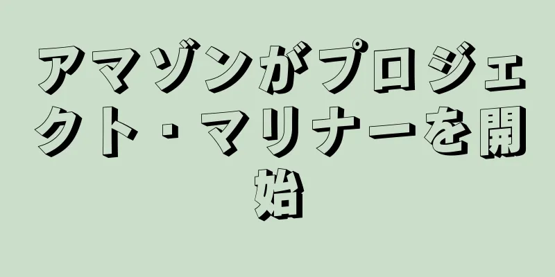 アマゾンがプロジェクト・マリナーを開始