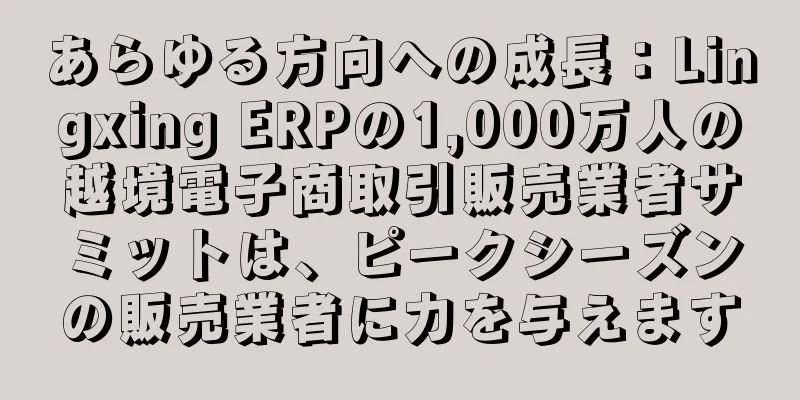 あらゆる方向への成長：Lingxing ERPの1,000万人の越境電子商取引販売業者サミットは、ピークシーズンの販売業者に力を与えます