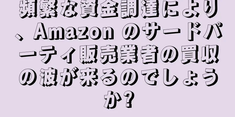 頻繁な資金調達により、Amazon のサードパーティ販売業者の買収の波が来るのでしょうか?