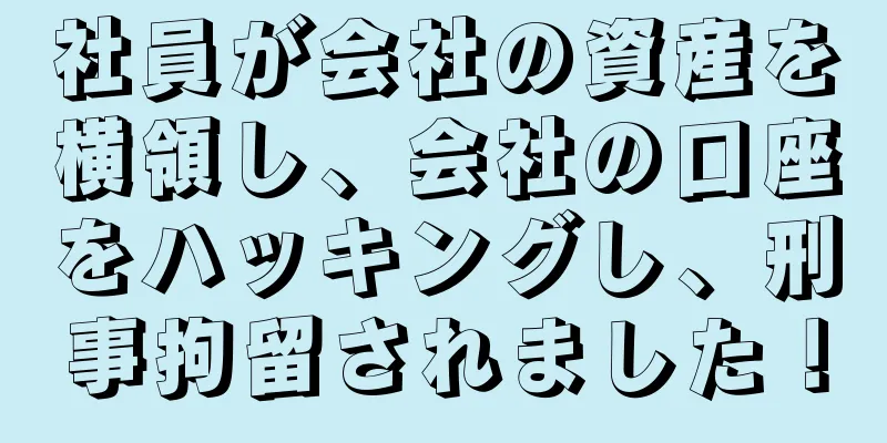 社員が会社の資産を横領し、会社の口座をハッキングし、刑事拘留されました！