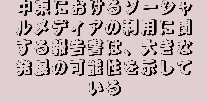 中東におけるソーシャルメディアの利用に関する報告書は、大きな発展の可能性を示している